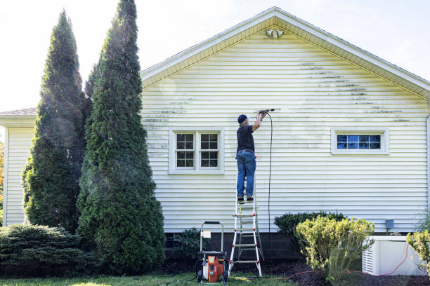 Spring Cleaning in Windcrest, TX